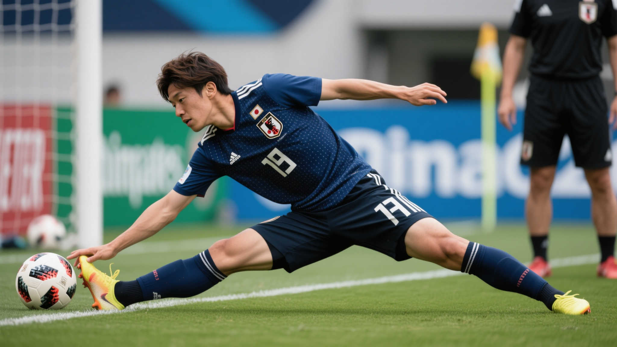 从会员大会 从会员大会